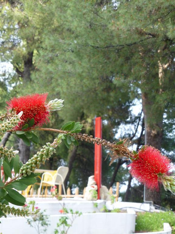 Dryades Hotel Siviri Luaran gambar